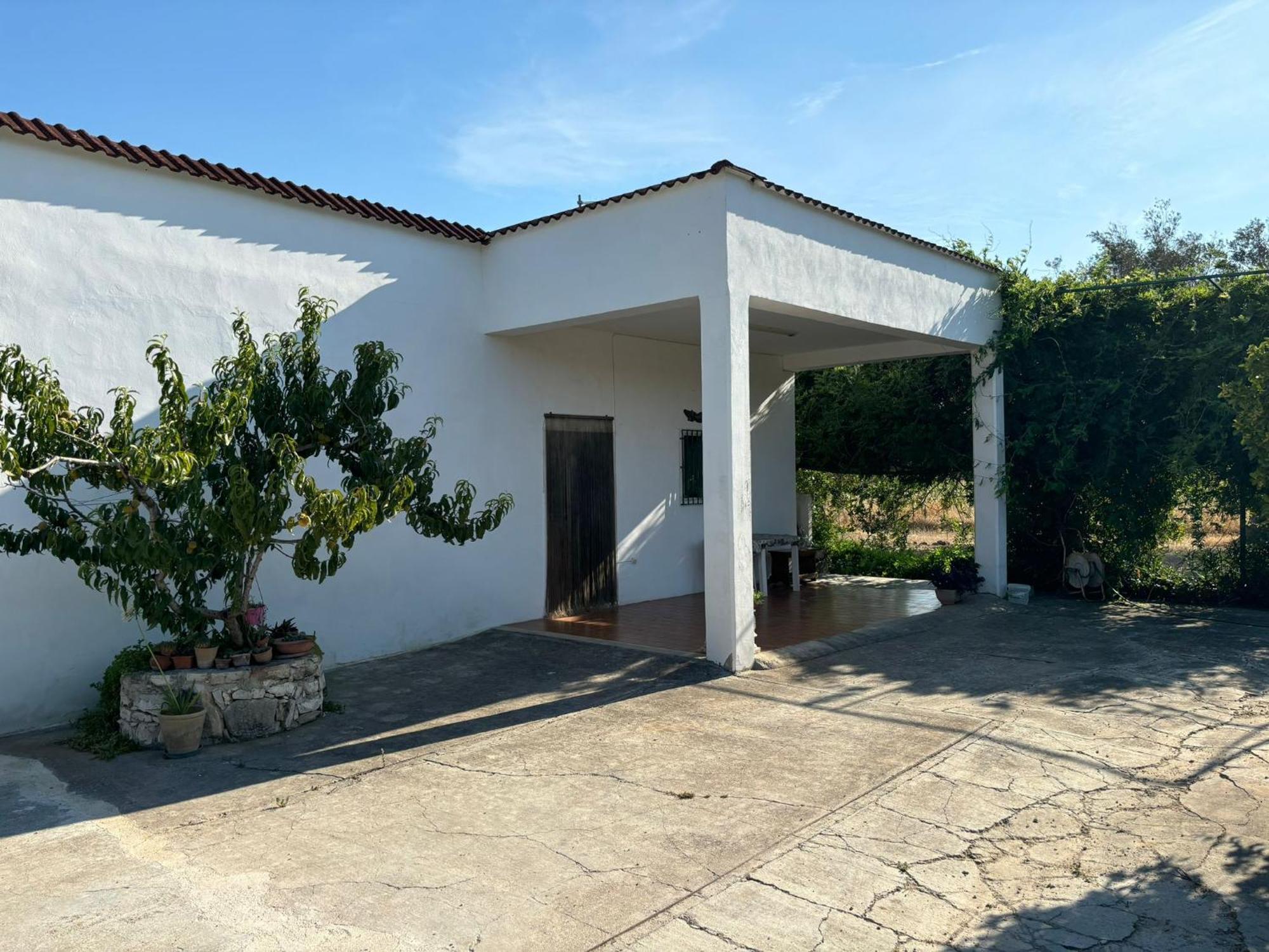Casa Domitia Villa Latiano Bagian luar foto
