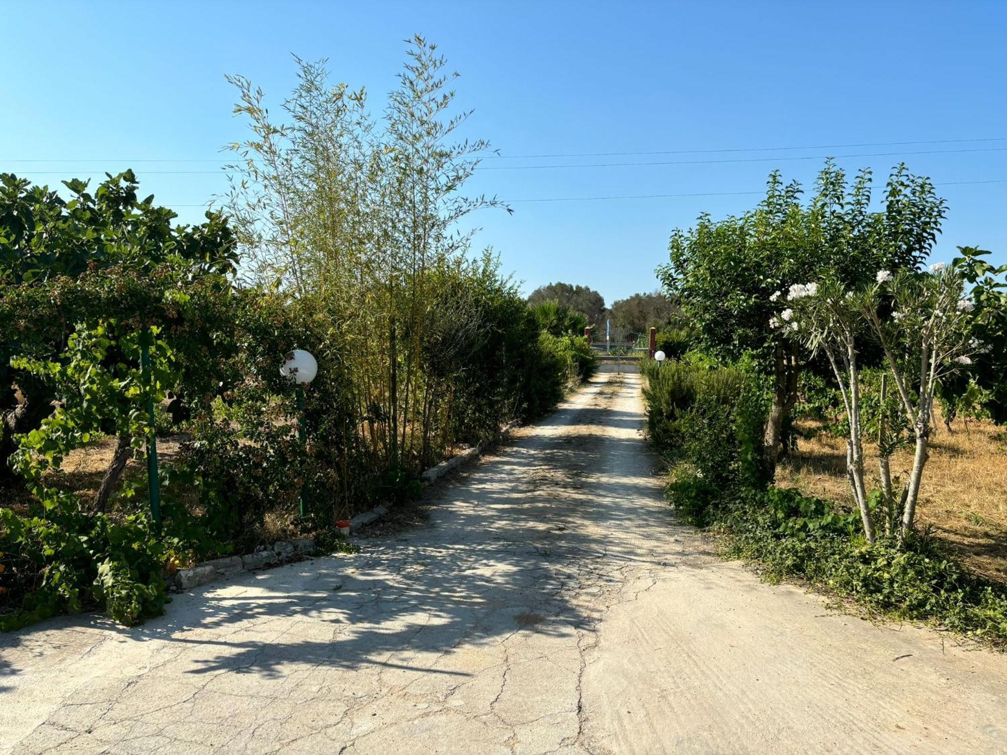 Casa Domitia Villa Latiano Bagian luar foto